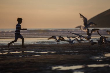Çocuklar, güzel çocuk kardeşler, izlemek ve martılar sahilde sunset Bulvarında besleme
