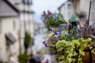 Clovelly, Devonshire, İngiltere'nin kalbinde güzel eski köy sokaklarında güzel görünümü