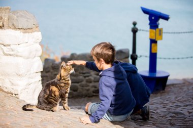 Sevimli çocuk, çocuk, sokakta kedi okşama
