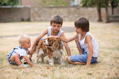 Beaugtiful okul öncesi çocuklar parkta, tatlı köpek ile oynarken, yaz