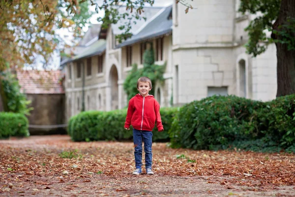 Portret Van Kind Jongen Herfst Tuin Houden Van Bladeren Gelukkig — Stockfoto