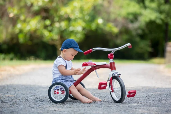 Симпатичний Хлопчик Малюк Грається Триколісним Велосипедом Задньому Дворі Влітку — стокове фото