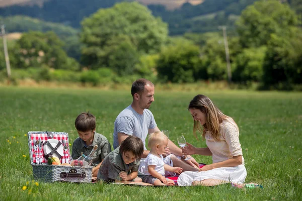 幸福的家庭 在农村野餐 德文郡 夏季鸟瞰 — 图库照片