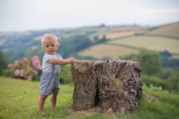 Söta Småbarn Barn Pojke Leker Med Trehjuling Bakgård Kid Ridning — Stockfoto