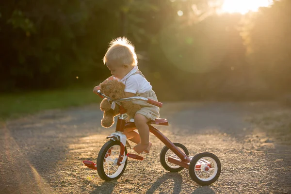Tekerlekli Bisiklet Arka Bahçesinde Çocuk Binicilik Bisiklet Günbatımı Ile Oynayan — Stok fotoğraf