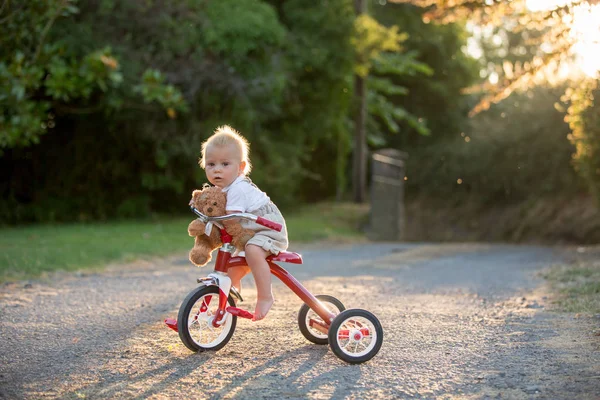 Söta Småbarn Barn Pojke Leker Med Trehjuling Bakgård Kid Rider — Stockfoto