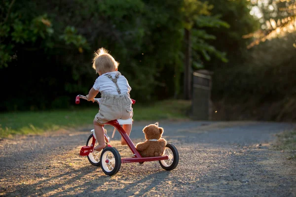 Симпатичный Ребенок Мальчик Играет Трехколесным Велосипедом Заднем Дворе Ребенок Езда — стоковое фото