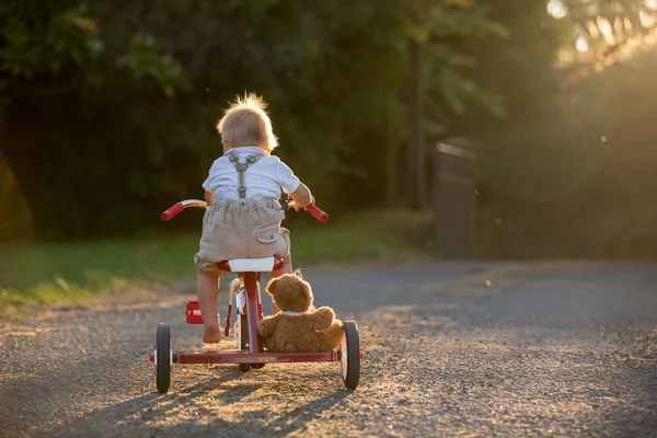 Lindo Niño Pequeño Niño Jugando Con Triciclo Patio Trasero Niño — Foto de Stock