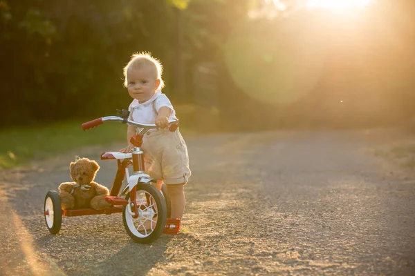 Niedliche Kleinkind Junge Spielen Mit Dreirad Hinterhof Kind Fahrrad Fahren — Stockfoto