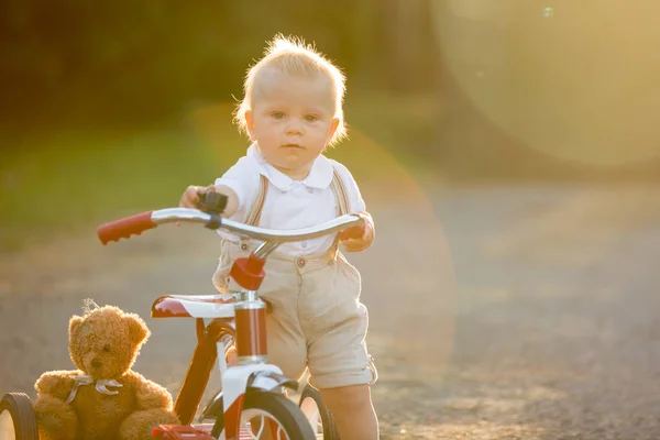 Мила Дитина Хлопчик Грає Триколісним Велосипедом Задньому Дворі Дитячий Велосипед — стокове фото