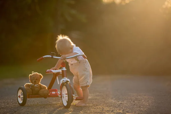 Lindo Niño Pequeño Niño Jugando Con Triciclo Patio Trasero Niño — Foto de Stock