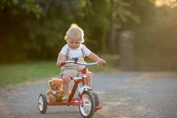 Schattig Peuter Kind Jongen Spelen Met Driewieler Achtertuin Kid Paardrijden — Stockfoto