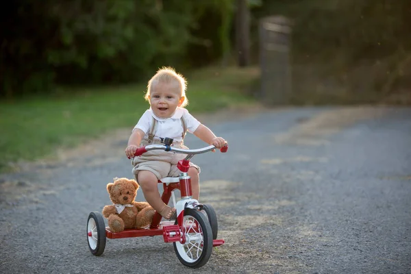 Cute Toddler Child Boy Playing Tricycle Backyard Kid Riding Bike — Stock Photo, Image