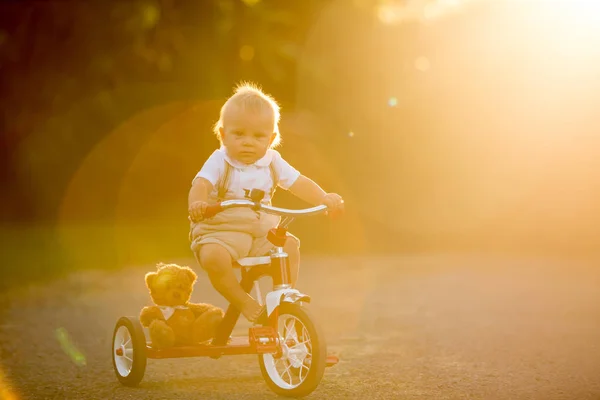可爱的学步儿童 在后院玩三轮车 孩子骑自行车在日落 — 图库照片
