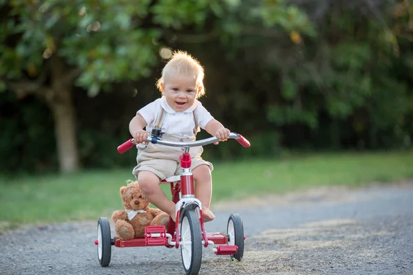 Симпатичный Ребенок Мальчик Играет Трехколесным Велосипедом Заднем Дворе Ребенок Езда — стоковое фото
