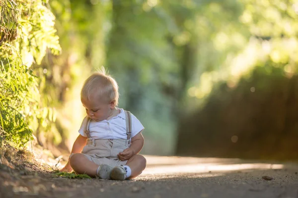 Little Baby Boy Toddler Child Playing Leaves Sunny Path Forest — Stock Photo, Image