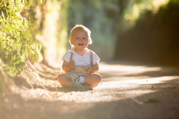 Little Baby Boy Toddler Child Playing Leaves Sunny Path Forest — Stock Photo, Image