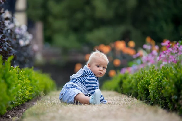 Krásné Dítě Úžasné Květinové Zahrady Letní — Stock fotografie