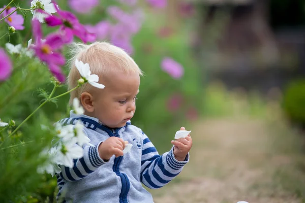 Criança Bonita Jardim Flores Incrível Verão — Fotografia de Stock