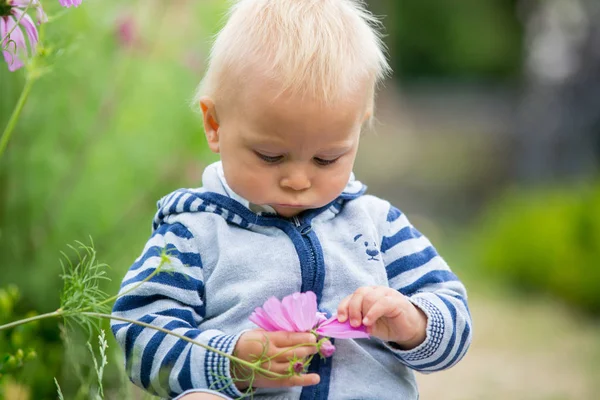 Bel Enfant Dans Jardin Fleuri Incroyable Été — Photo