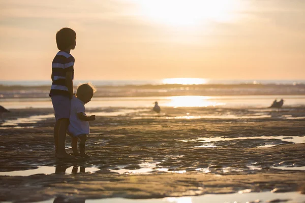 美丽的男孩兄弟 看和喂海鸥在海滩上日落 — 图库照片