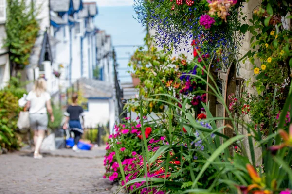 Bela Vista Das Ruas Clovelly Agradável Aldeia Velha Coração Devonshire — Fotografia de Stock