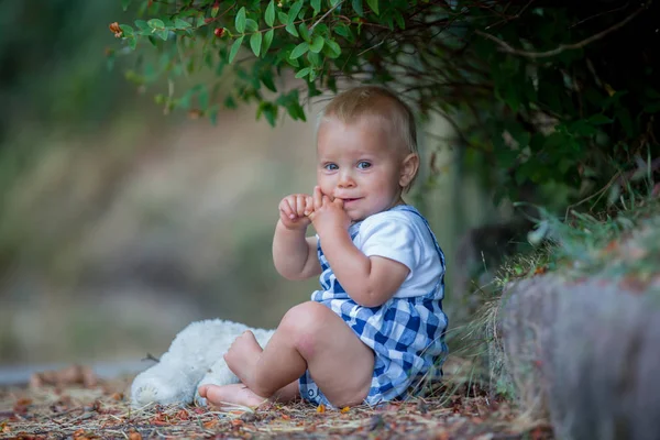 Очаровательный Малыш Играет Плюшевым Мишкой Парке Летом — стоковое фото