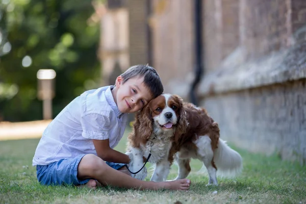 Anak Anak Prasekolah Beaugtiful Bermain Dengan Anjing Manis Taman Musim — Stok Foto