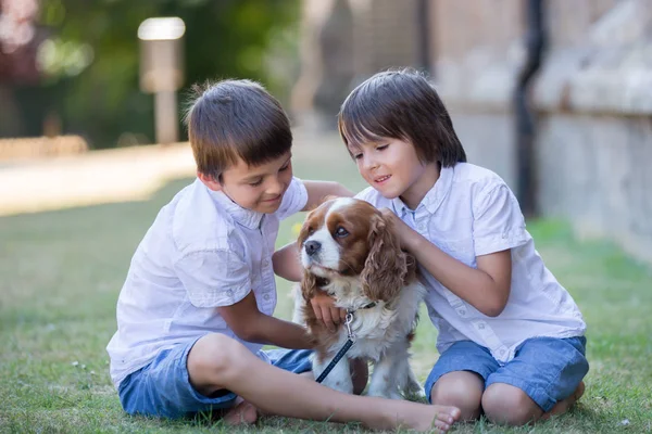 Beaugtiful Okul Öncesi Çocuklar Parkta Tatlı Köpek Ile Oynarken Yaz — Stok fotoğraf