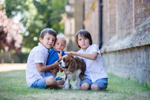 Niños Preescolares Hermosas Jugando Con Perro Dulce Parque Verano —  Fotos de Stock