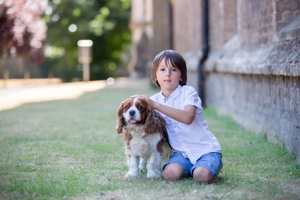 Beaugtiful Crianças Pré Escolares Brincando Com Cachorro Doce Parque Horário — Fotografia de Stock