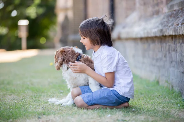 Beaugtiful Förskola Barn Leker Med Söta Hund Parken Summertime — Stockfoto