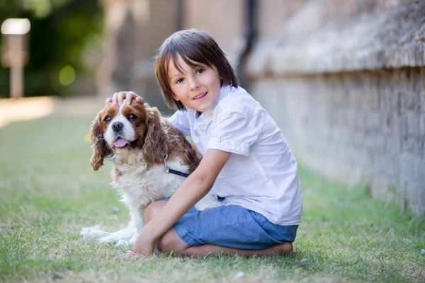 Beaugtiful Okul Öncesi Çocuklar Parkta Tatlı Köpek Ile Oynarken Yaz — Stok fotoğraf
