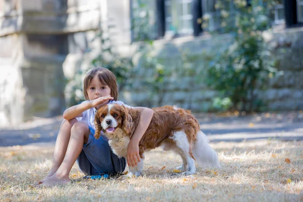 Beaugtiful Enfants Âge Préscolaire Jouer Avec Chien Doux Dans Parc — Photo