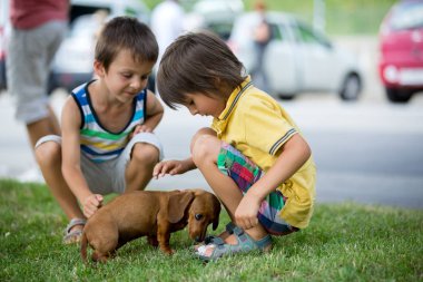İki güzel okul öncesi çocuk, erkek kardeşler, parkta, küçük evde beslenen hayvan köpek ile oynarken yaz