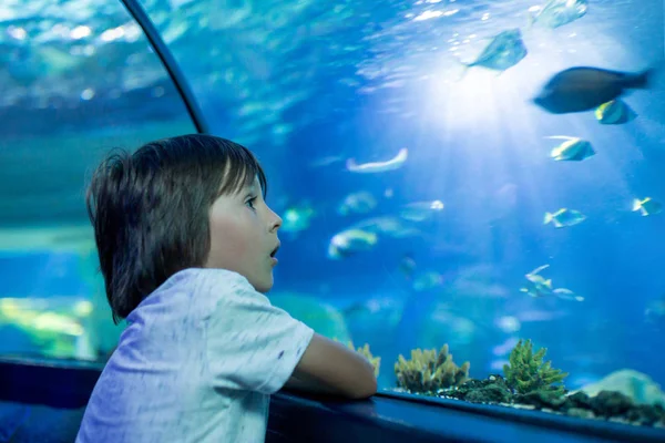 小さな男の子が 水槽で水中生活を楽しむ子どもたち 水族館で泳いでいる魚の群れを見ている子供 — ストック写真