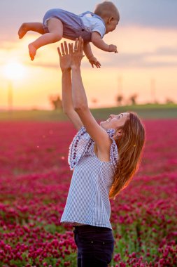 Kızıl yonca alanında, eğlenmek aile todller oğlu tutan genç anne togther