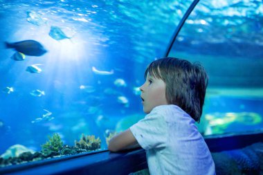 Küçük çocuk, Çocuk balık oceanarium, sualtı Aquariu hayatta zevk çocuk yüzme balık izlerken