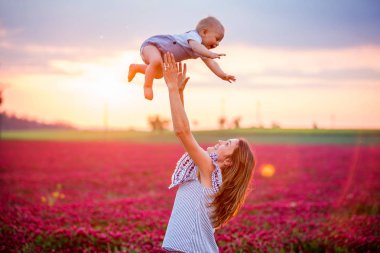 Kızıl yonca alanında, eğlenmek aile todller oğlu tutan genç anne togther