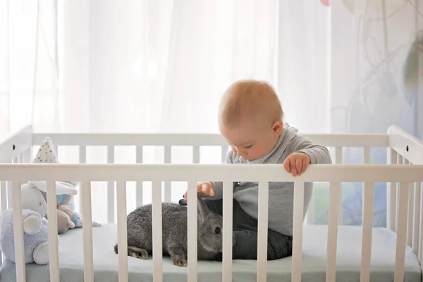 free baby crib near me