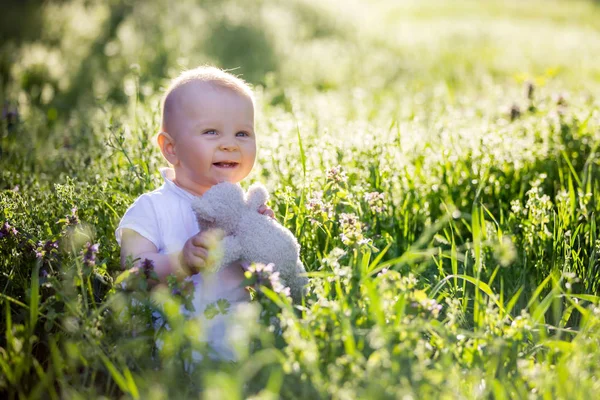 Солодкий Маленький Хлопчик Своїм Плюшевим Ведмедем Сидячи Парку Щасливо Посміхаючись — стокове фото
