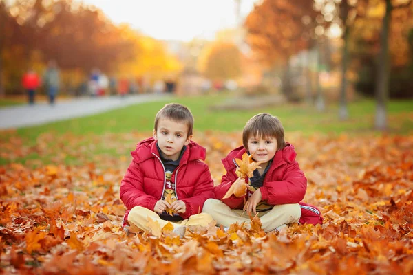 Zwei Kinder Junge Brüder Spielen Mit Blättern Herbstpark Sonniger Nachmittag — Stockfoto