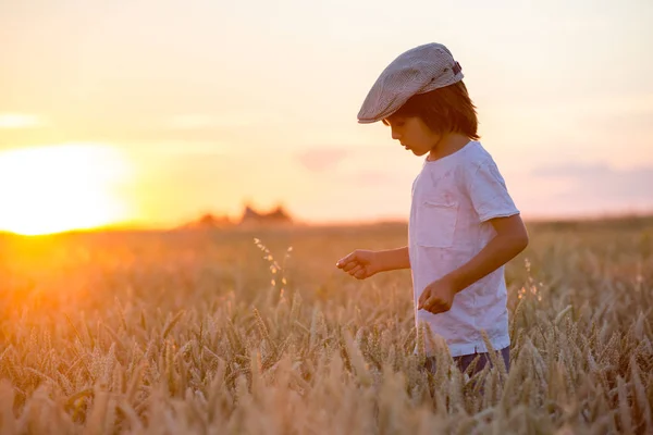 Cheerful Child Boy Chasing Soap Bubbles Wheat Field Sunset Summertime — Stock Photo, Image