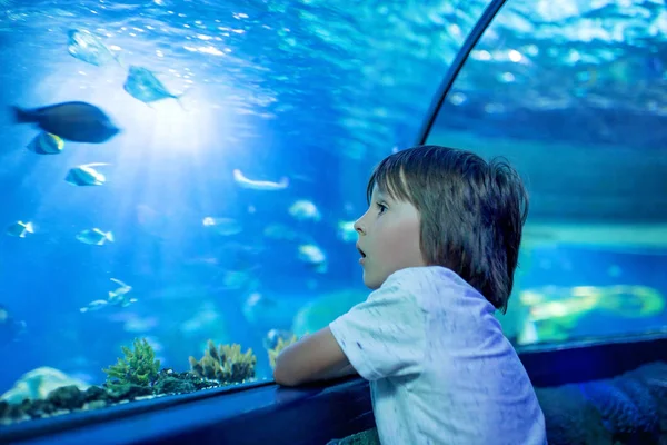 Küçük çocuk, Çocuk balık oceanarium, sualtı Aquariu hayatta zevk çocuk yüzme balık izlerken