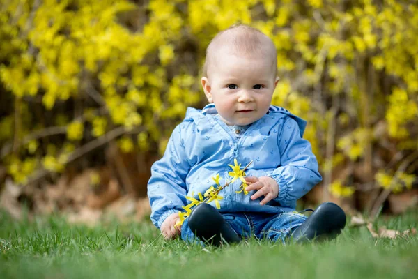 Rozkošné Dítě Chlapeček Hrající Trávě Parku Jaro — Stock fotografie