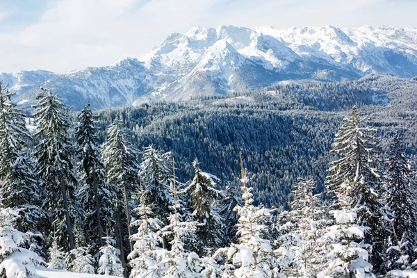 Vacker Natur Snöiga Vinterlandskap Österrikiska Apls Ski Areala Solig Dag — Stockfoto