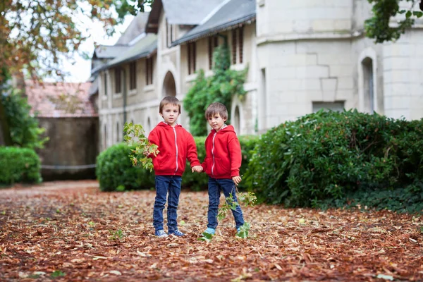 Retrato Duplo Duas Crianças Irmãos Meninos Jardim Outono Segurando Folhas — Fotografia de Stock