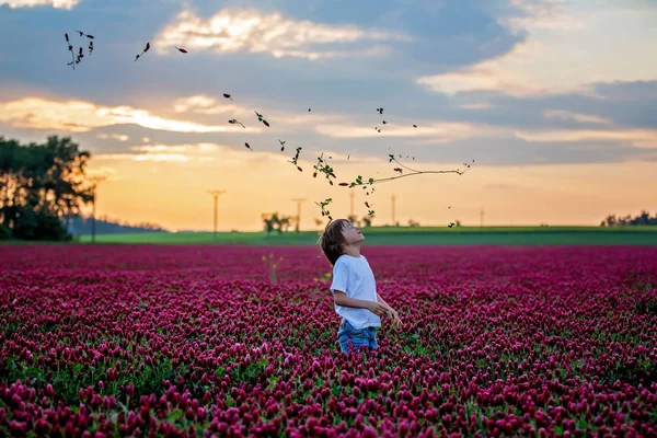 美丽的孩子在华丽的绯红三叶草田野上日落 收集新鲜的春天花为妈妈的母亲节 — 图库照片