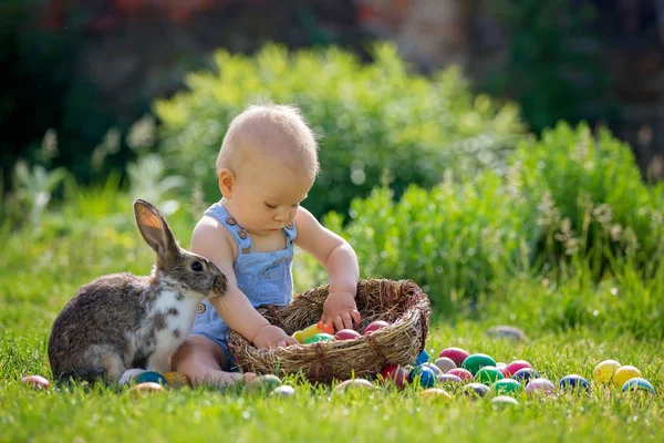 Çiçek Bahçe, ilkbaharda küçük tavşan ve Paskalya yumurta ile oynayan sevimli çocuk. Çocuk tavşan ile oynamak, tatil için avcılık yumurta