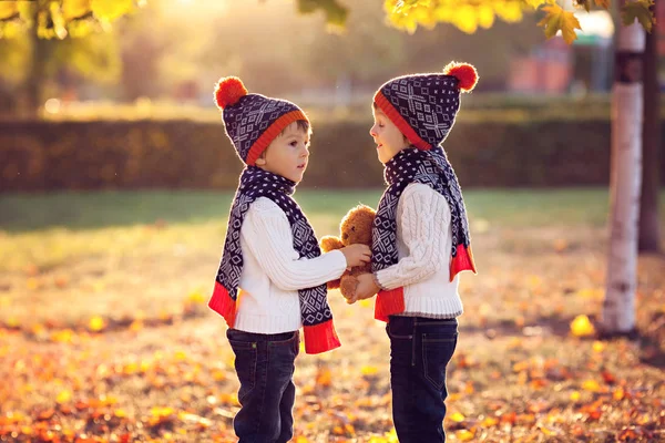 Meninos Adoráveis Irmãos Com Ursinho Pelúcia Parque Dia Outono Tarde — Fotografia de Stock